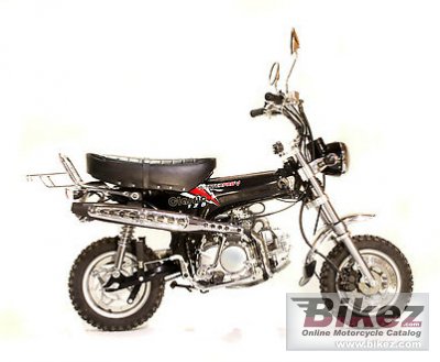 2012 Pitster Pro Classic Pro 125 photo